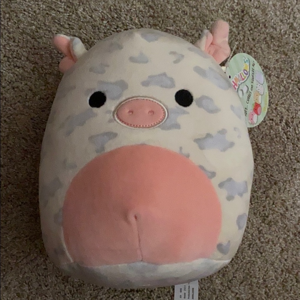 NTW Rare Rosie the pig Squishmallow